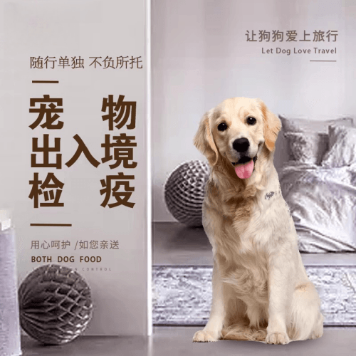 张家界市宠物托运到哥伦比亚猫狗宠物入境规定和
