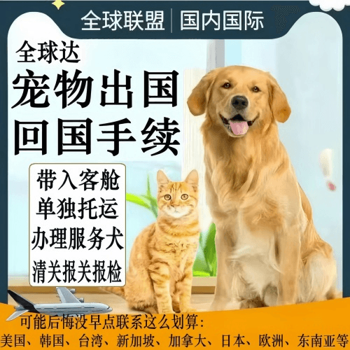 张家界市宠物托运到柬埔寨宠物入境规定和要求