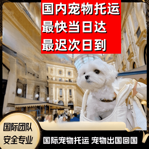 张家界市到澳大利亚（澳洲）宠物入境规定和要求