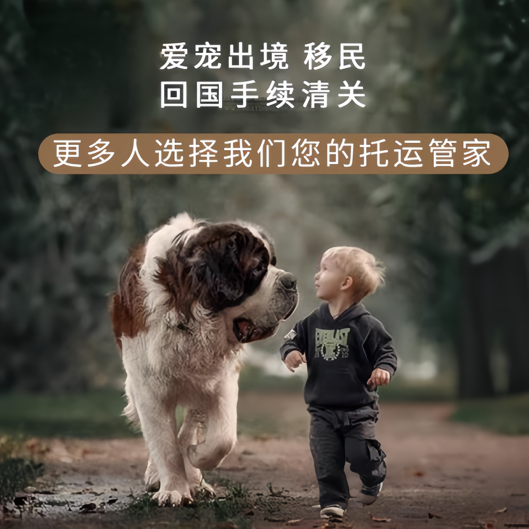 满财张家界市宠物全球达宠物托运在遵守入境目的地政策的条件