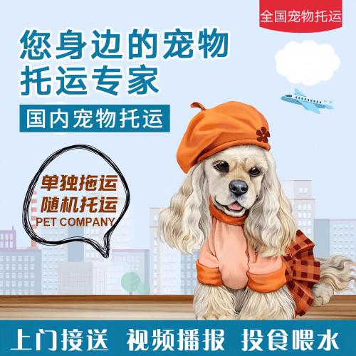满财张家界市宠物全球达宠物托运作为专业的宠物运输代理机构